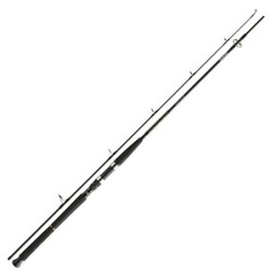 Daiwa BG Pilk - Caña de pescar  2,40 m, 40-100 g 
